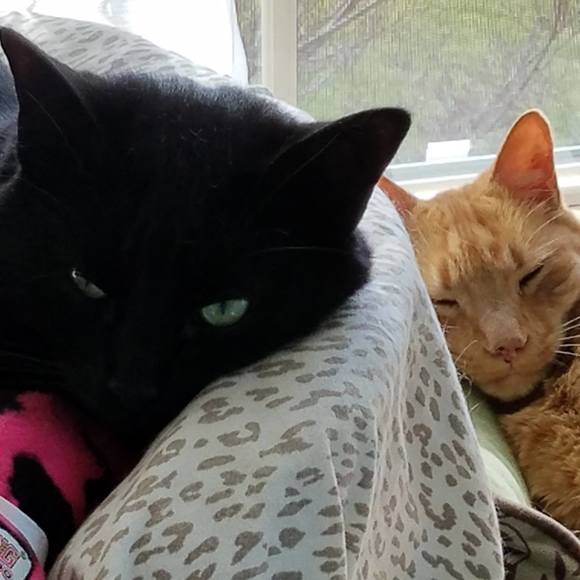 Meet your Posher, Julie - Picture 1 of 1